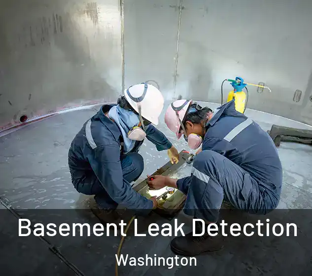  Basement Leak Detection Washington
