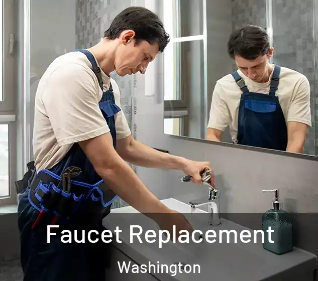  Faucet Replacement Washington