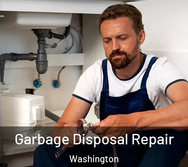  Garbage Disposal Repair Washington
