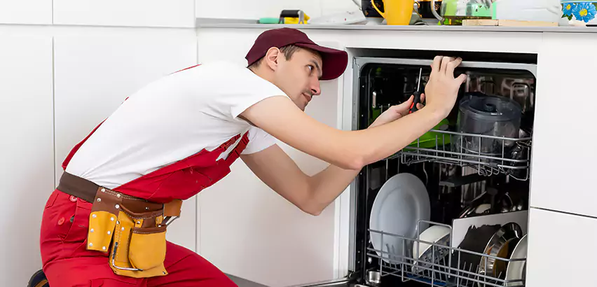 Scope of Kitchen Dishwasher Installation Services in Washington, PA