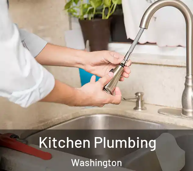  Kitchen Plumbing Washington