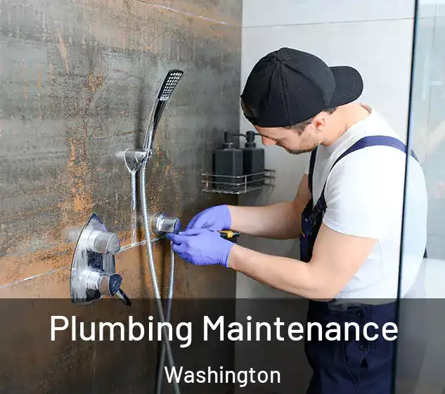  Plumbing Maintenance Washington