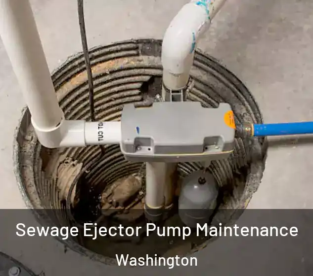  Sewage Ejector Pump Maintenance Washington