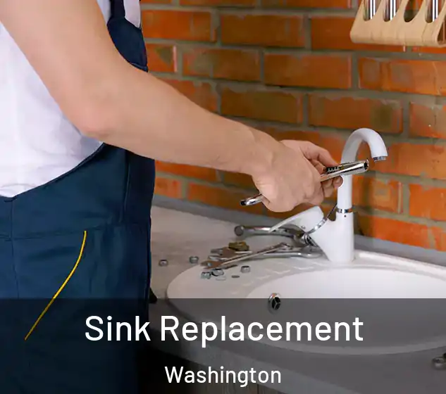  Sink Replacement Washington