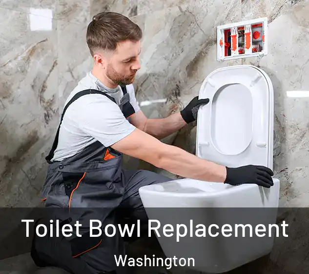  Toilet Bowl Replacement Washington