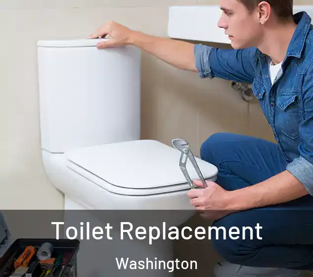  Toilet Replacement Washington